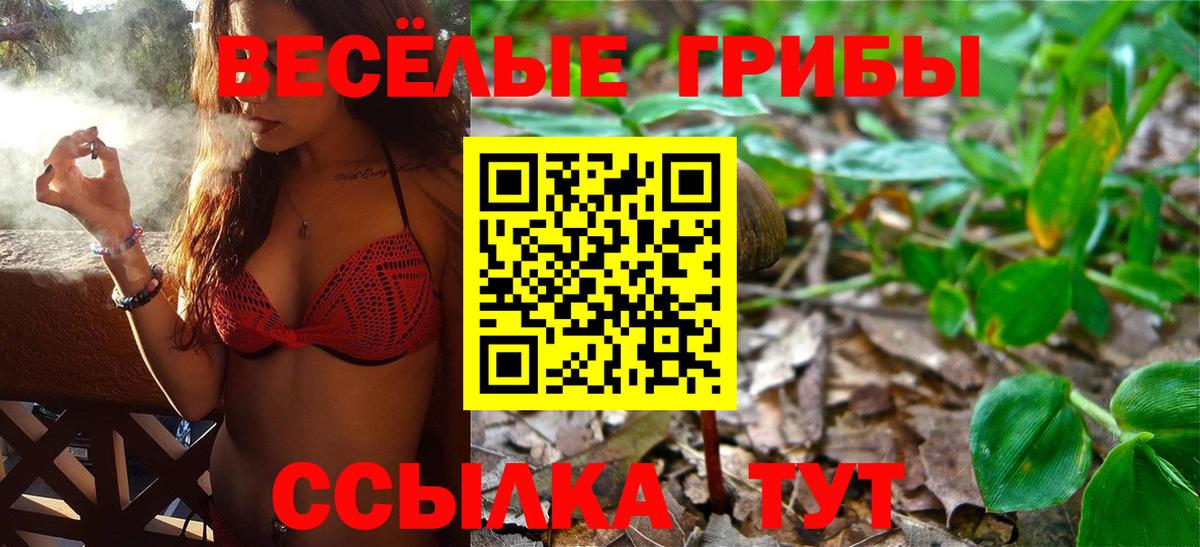 наркотики  Вход с VPN  Ликино-Дулёво  Галлюциногенные грибы Cubensis  Псилоцибиновые грибы мицелий 