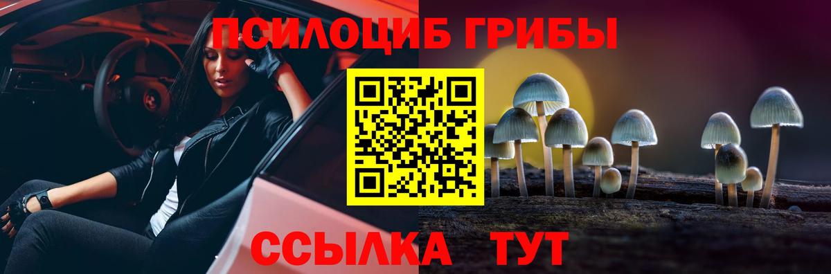 Псилоцибиновые грибы Psilocybe Ликино-Дулёво